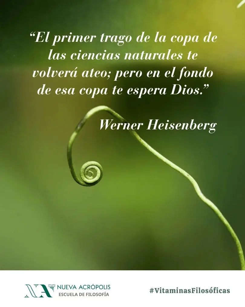 Frase del día