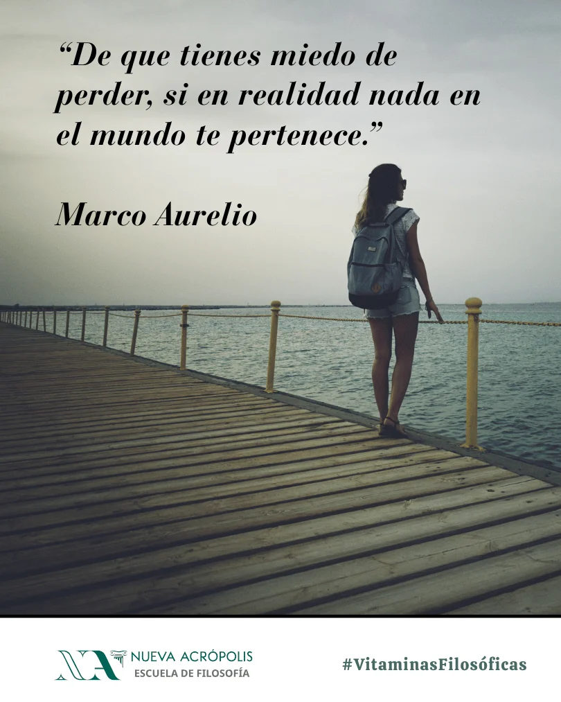 Frase del día