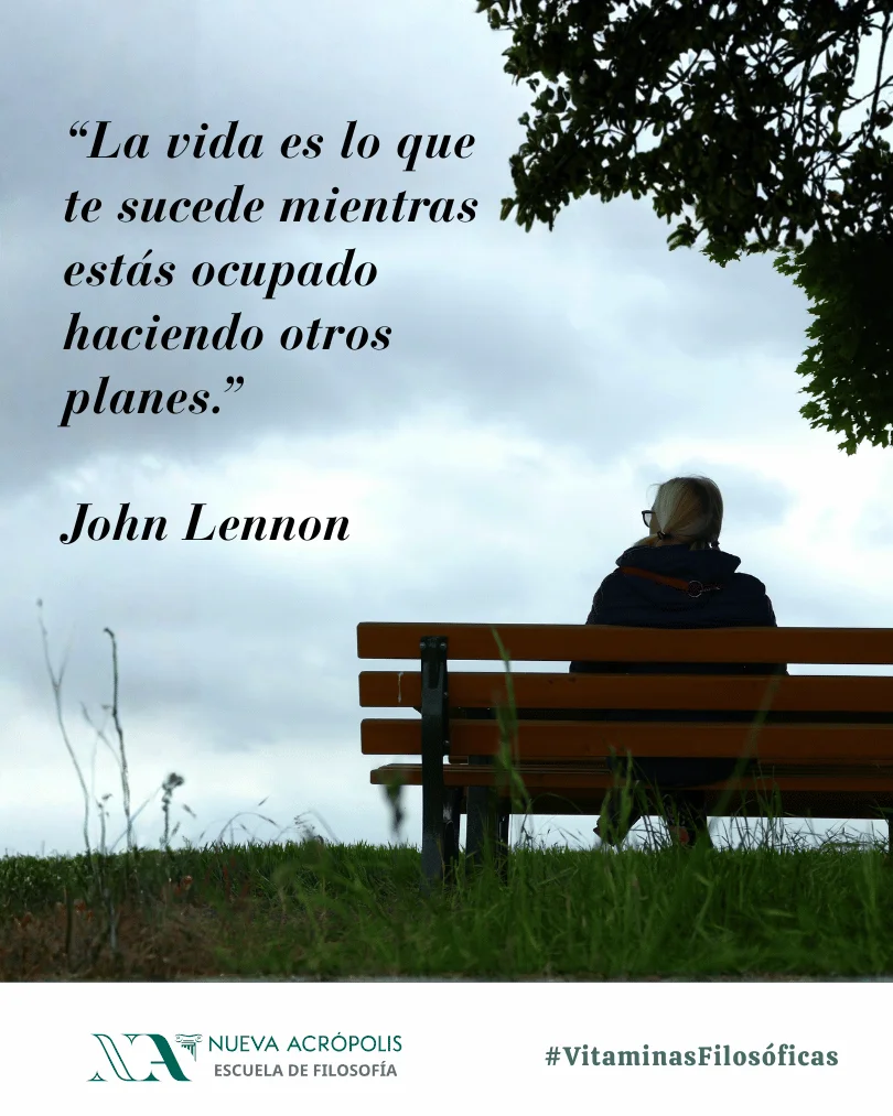 Frase del día
