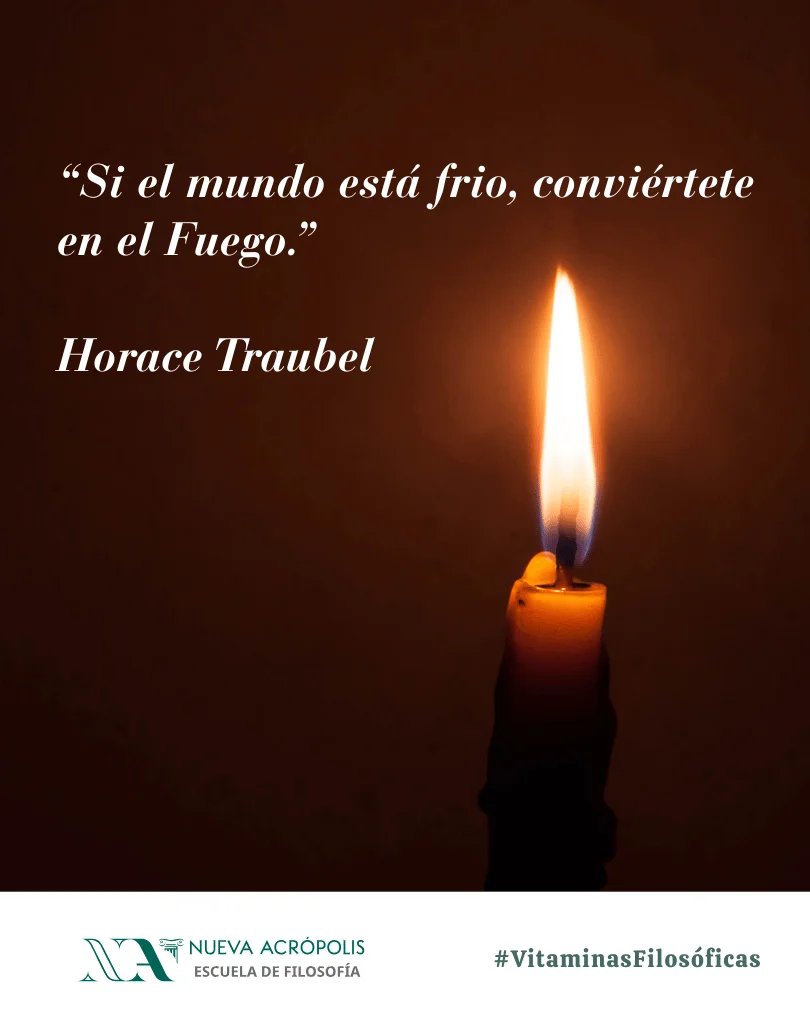 Frase del día