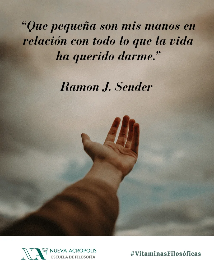 Frase del día