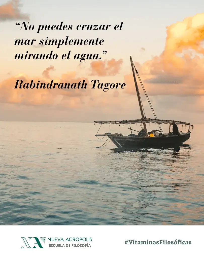 Frase del día