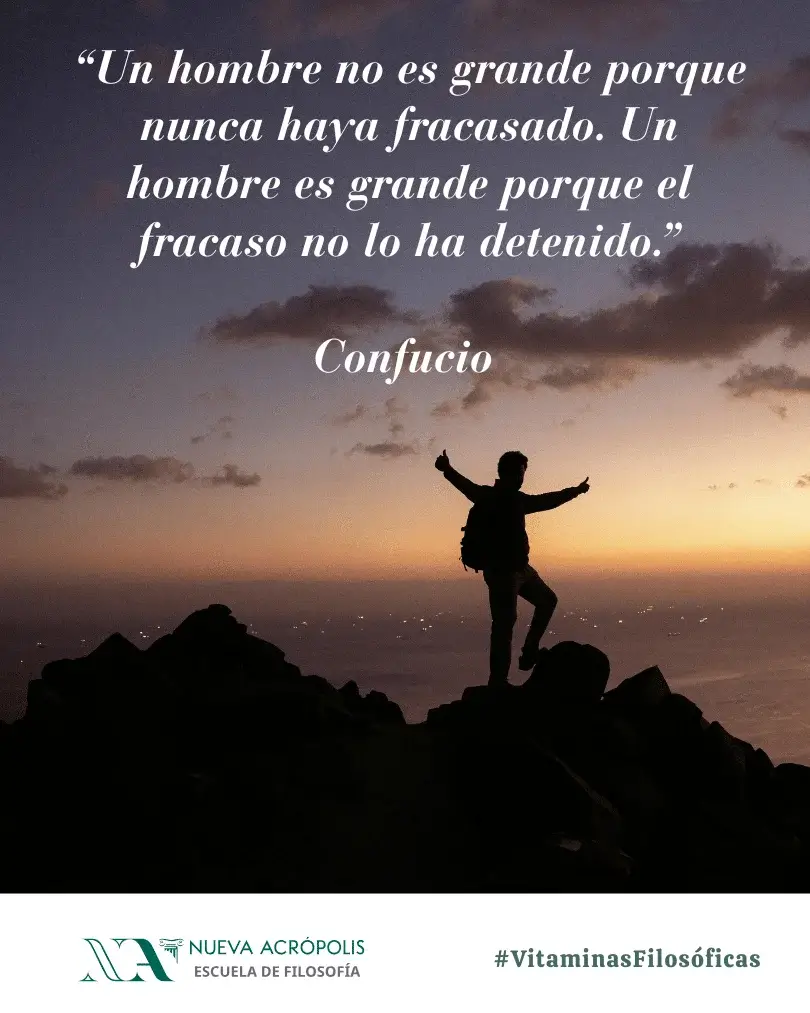Frase del día