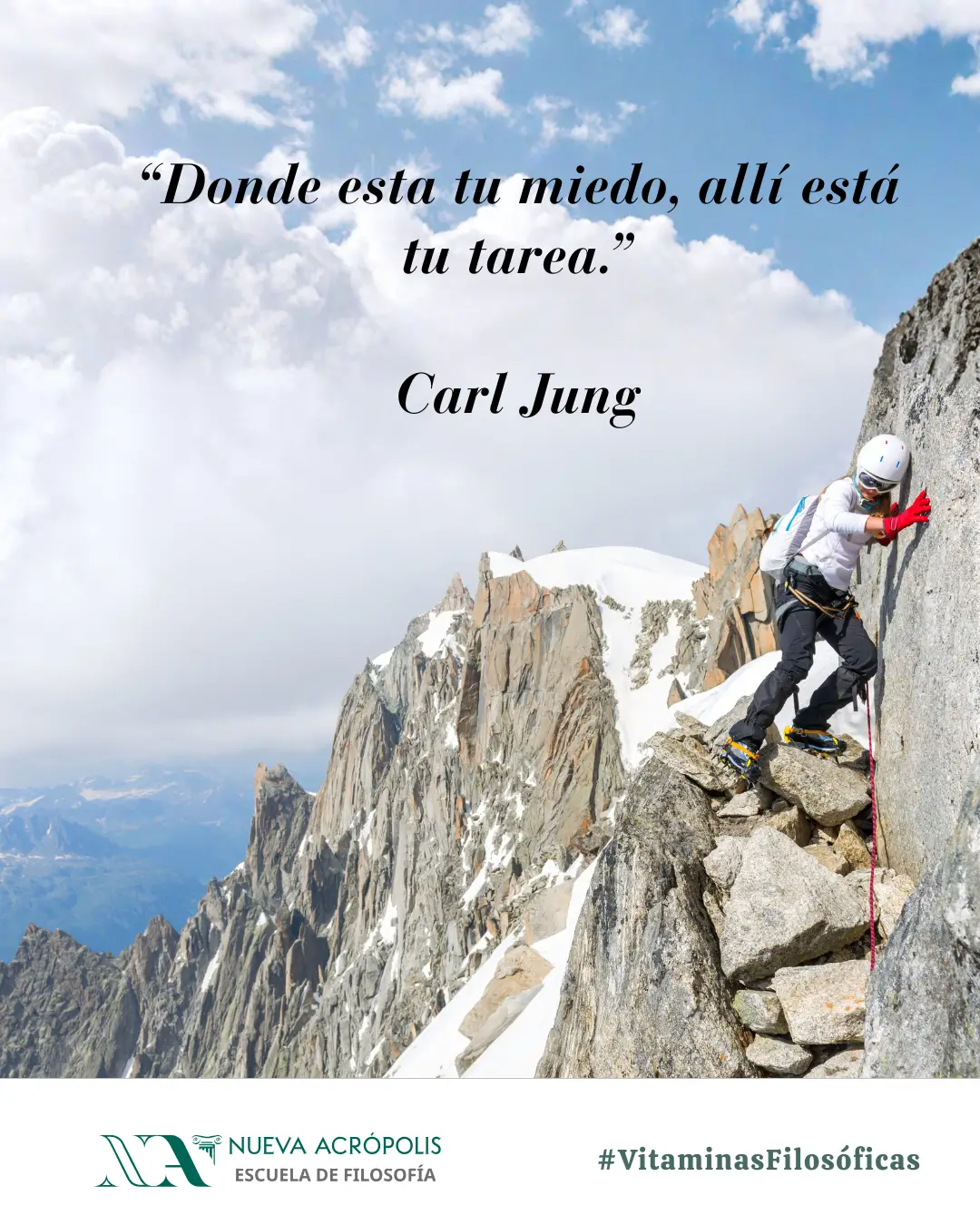 Frase del día