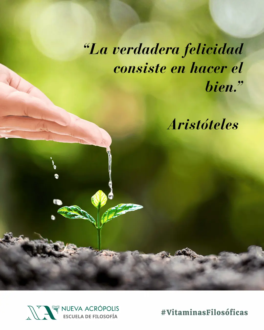 Frase del día