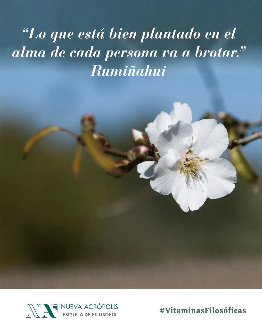 Frase del día