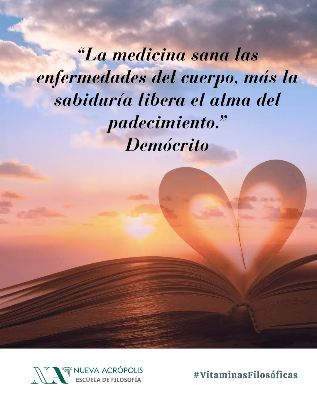 Frase del día