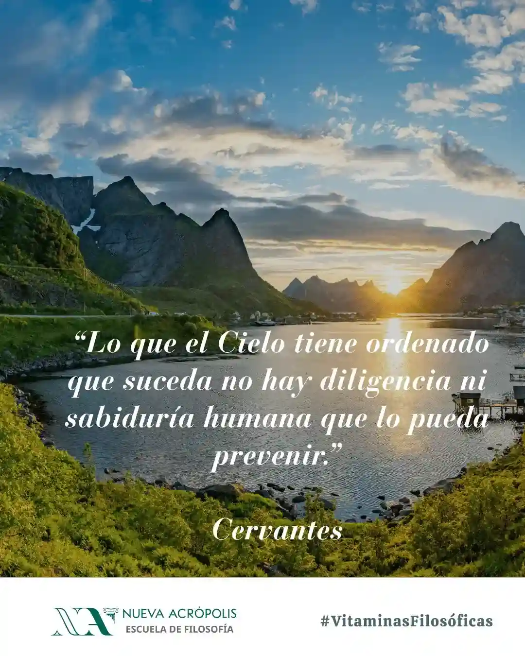 Frase del día