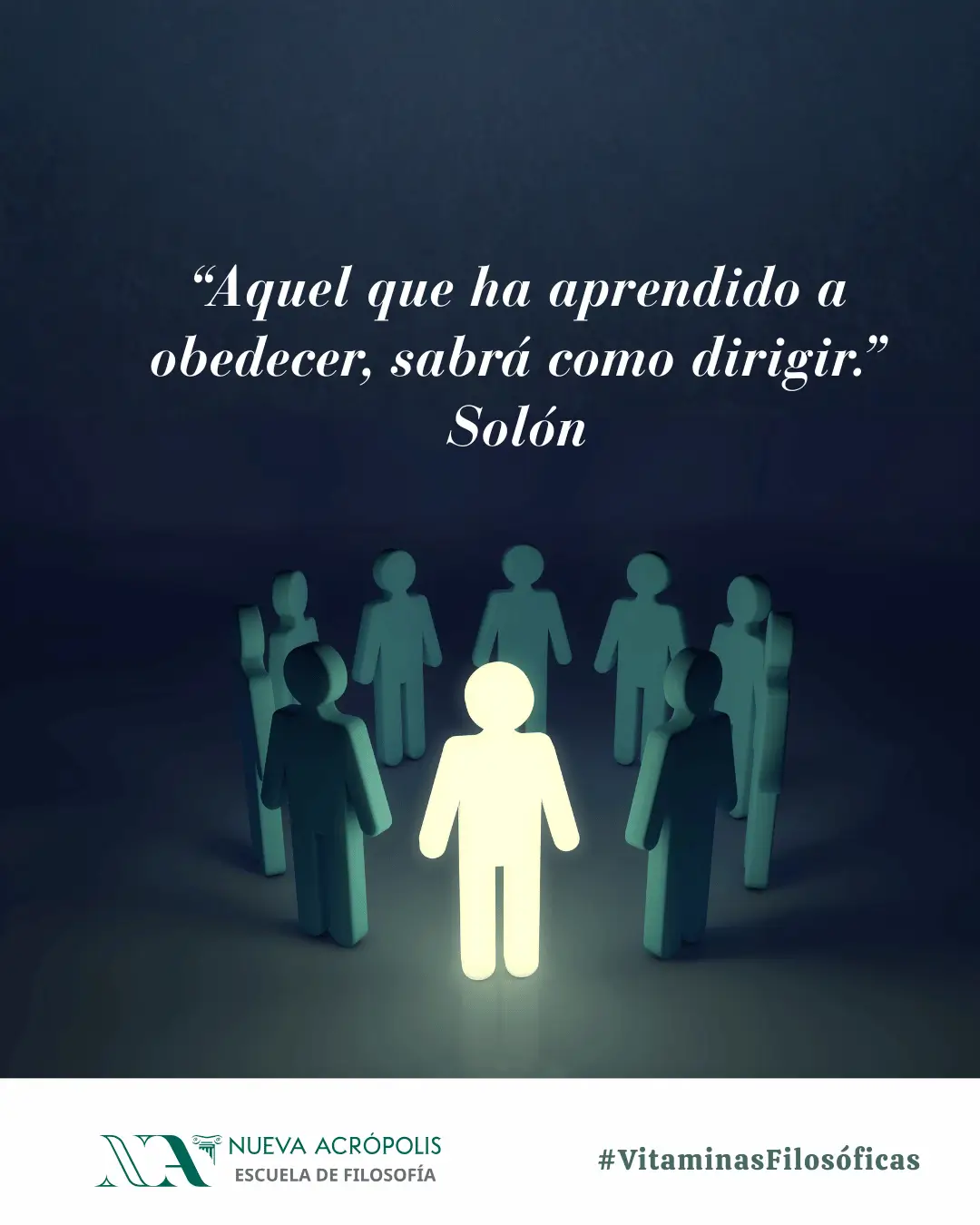 Frase del día