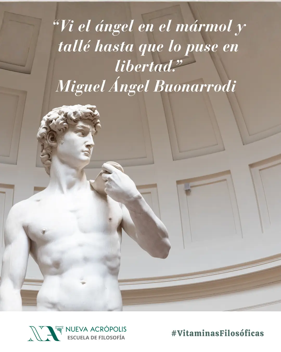 Frase del día