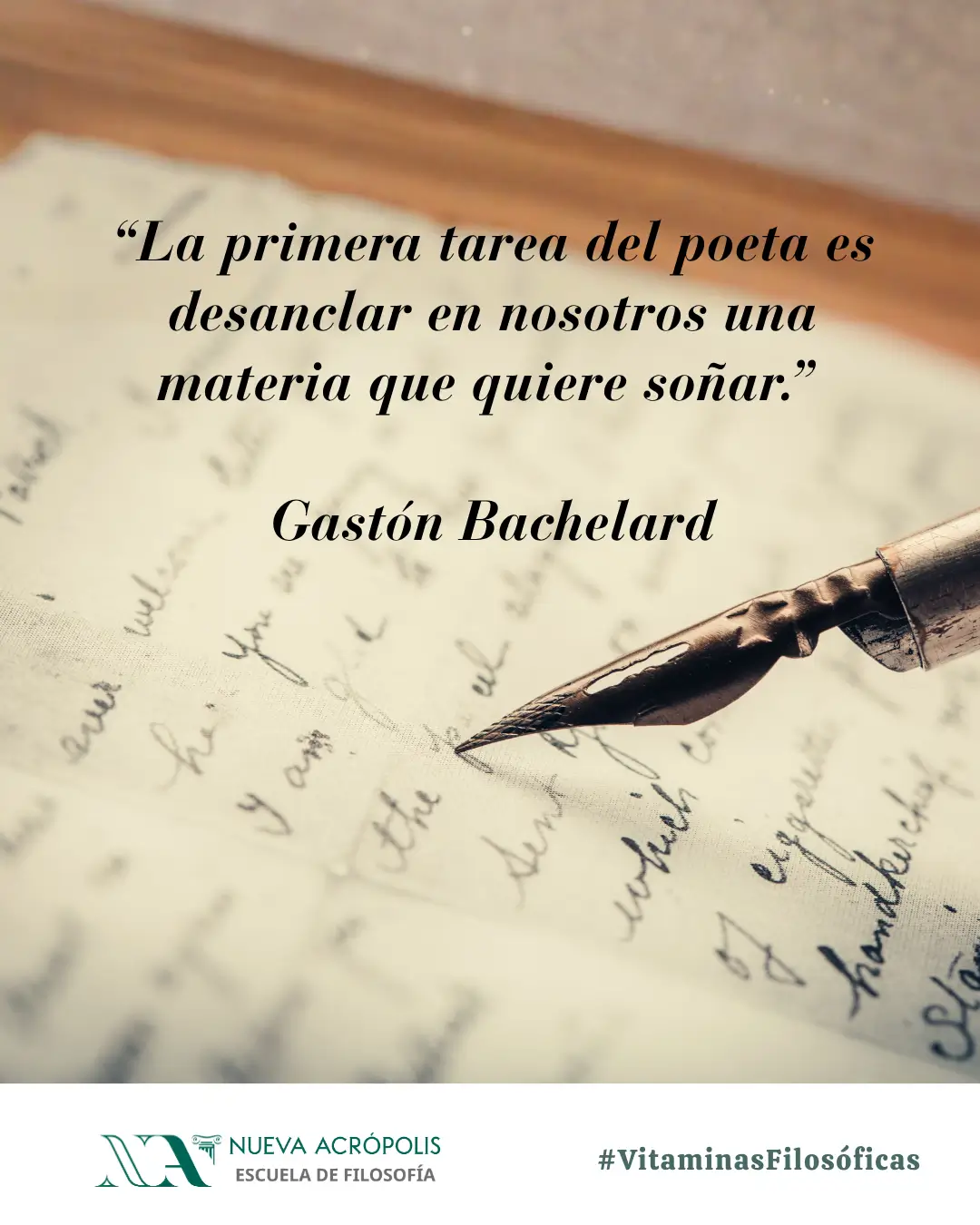 Frase del día