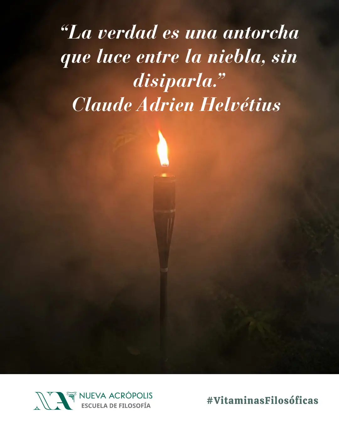 Frase del día