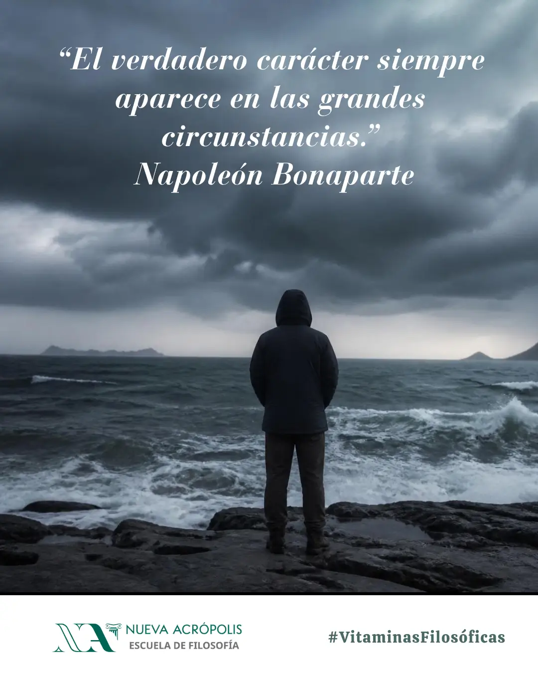 Frase del día