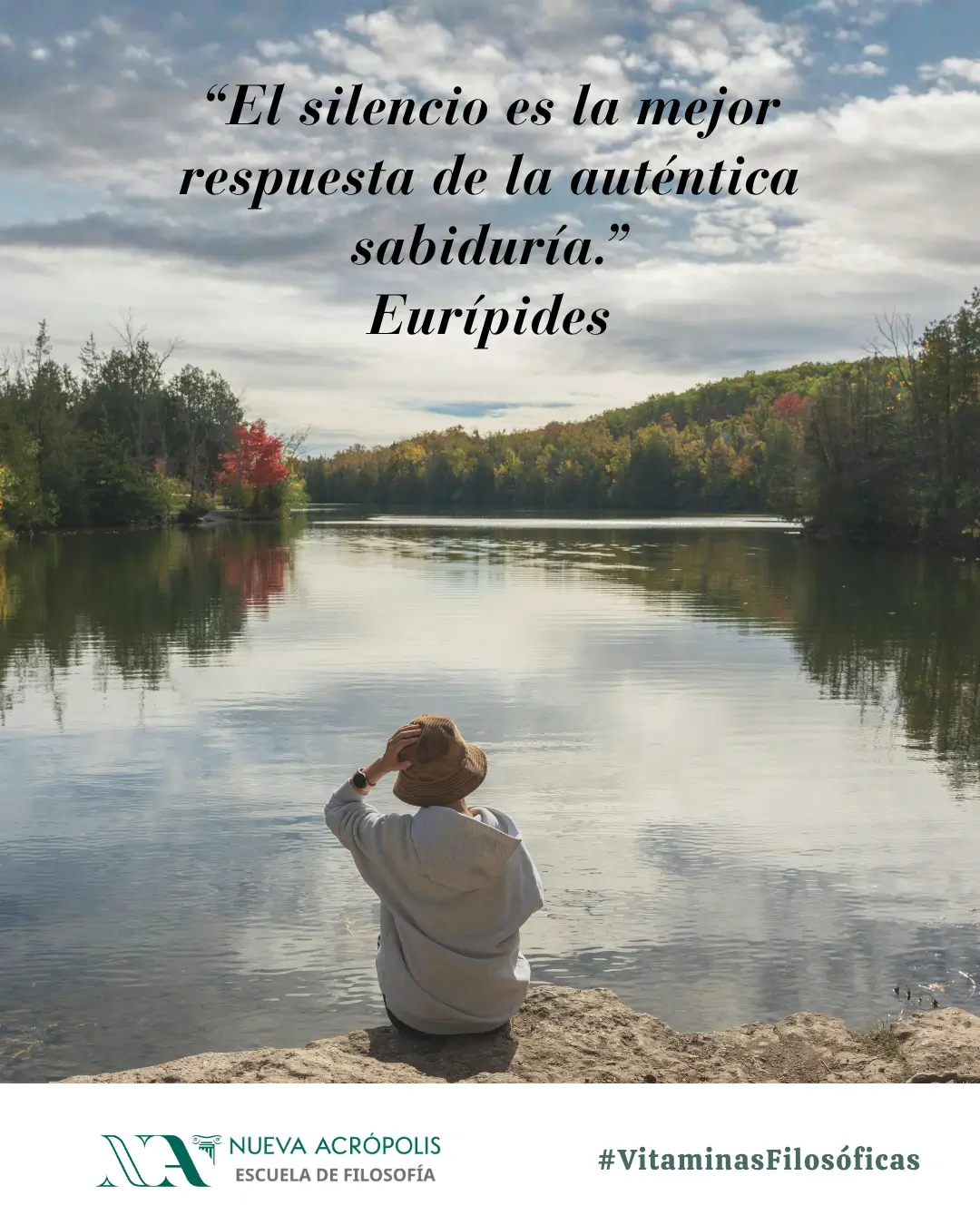 Frase del día
