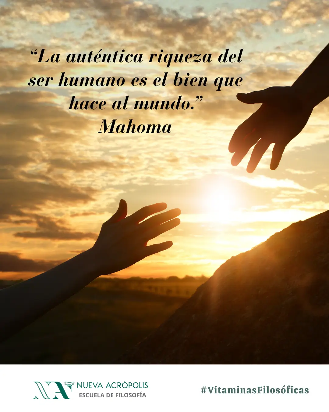 Frase del día