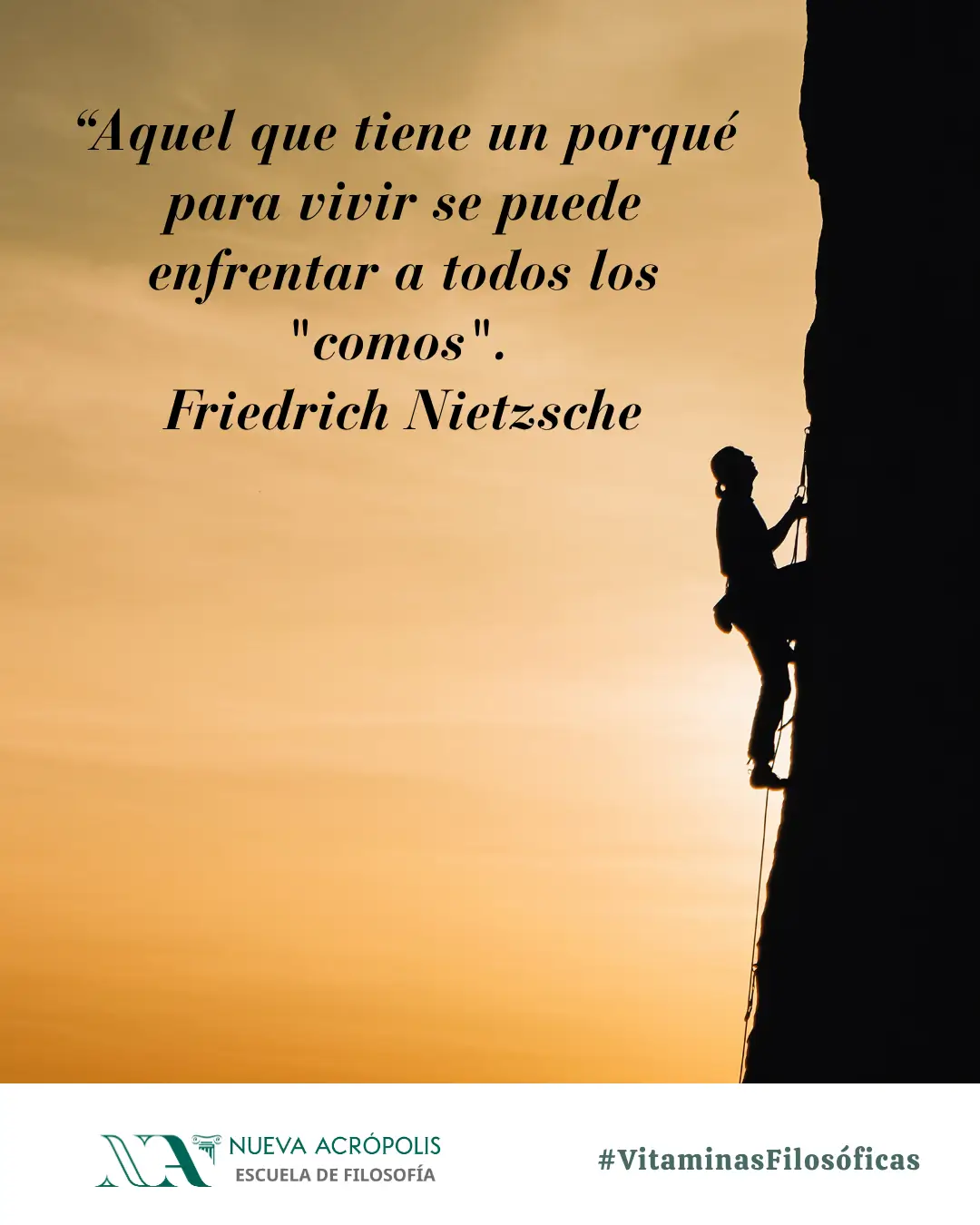 Frase del día