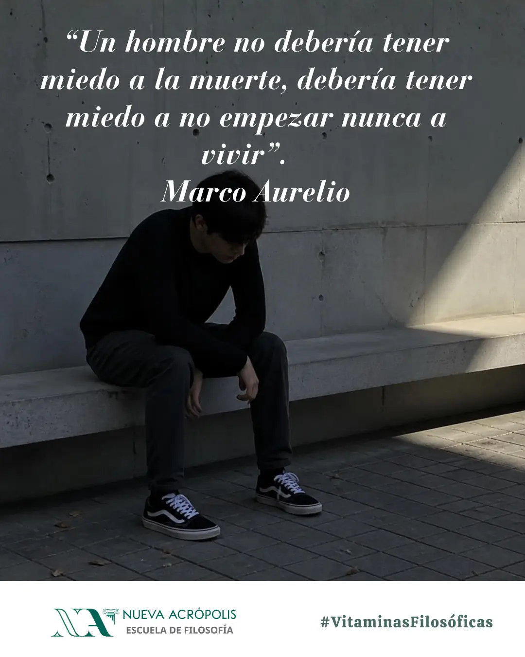 Frase del día