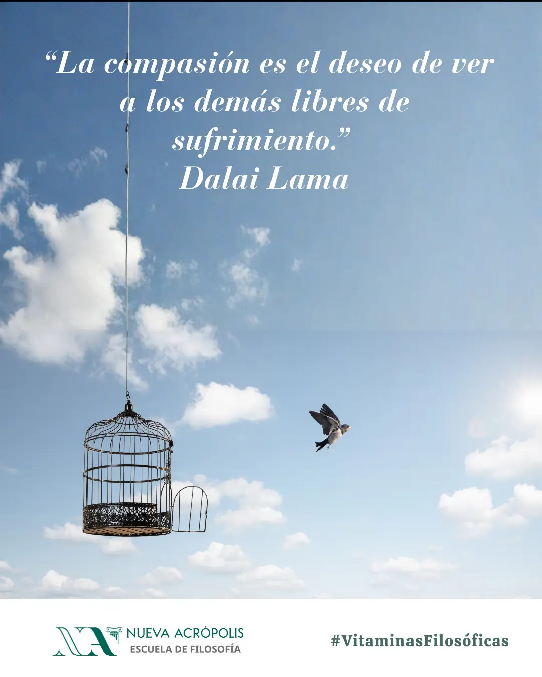 Frase del día