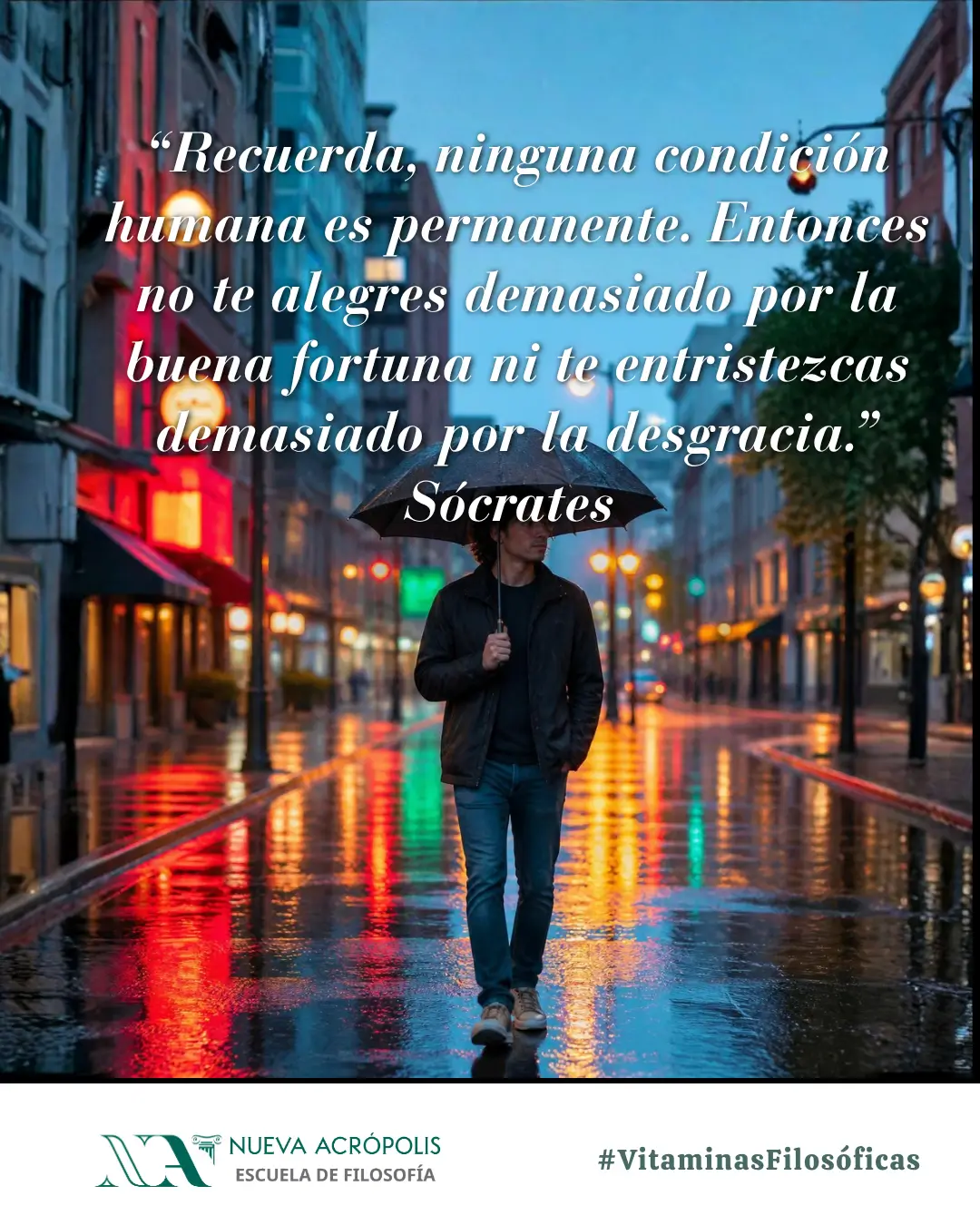 Frase del día
