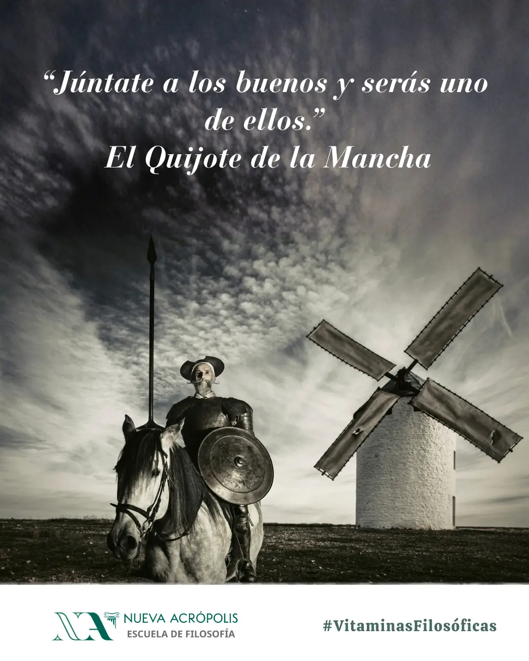 Frase del día