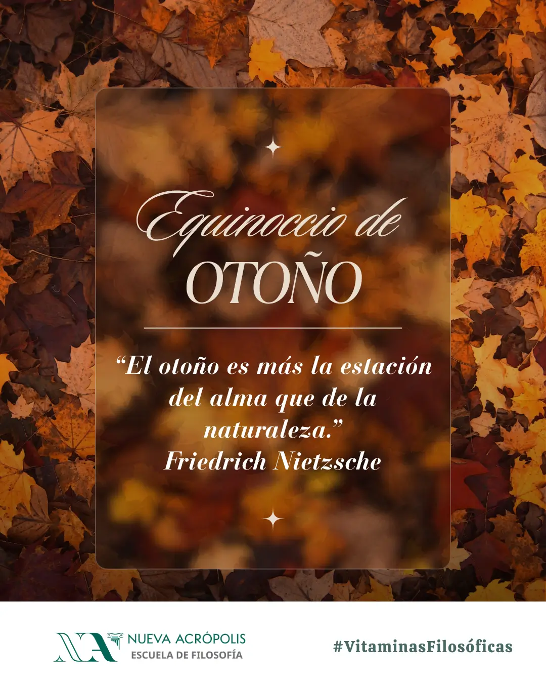 Frase del día