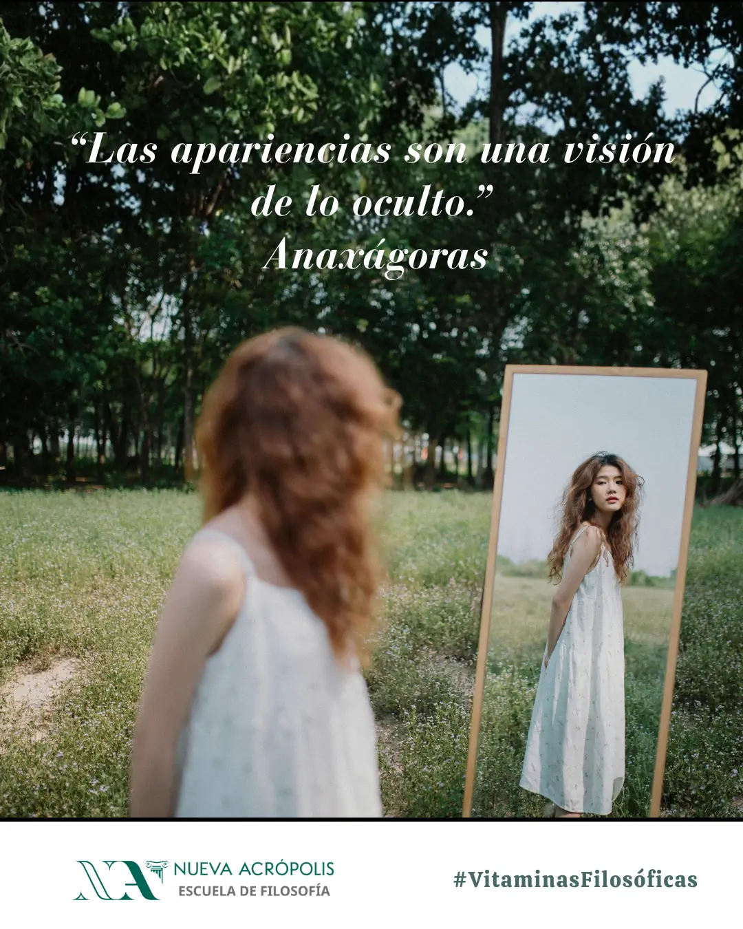 Frase del día
