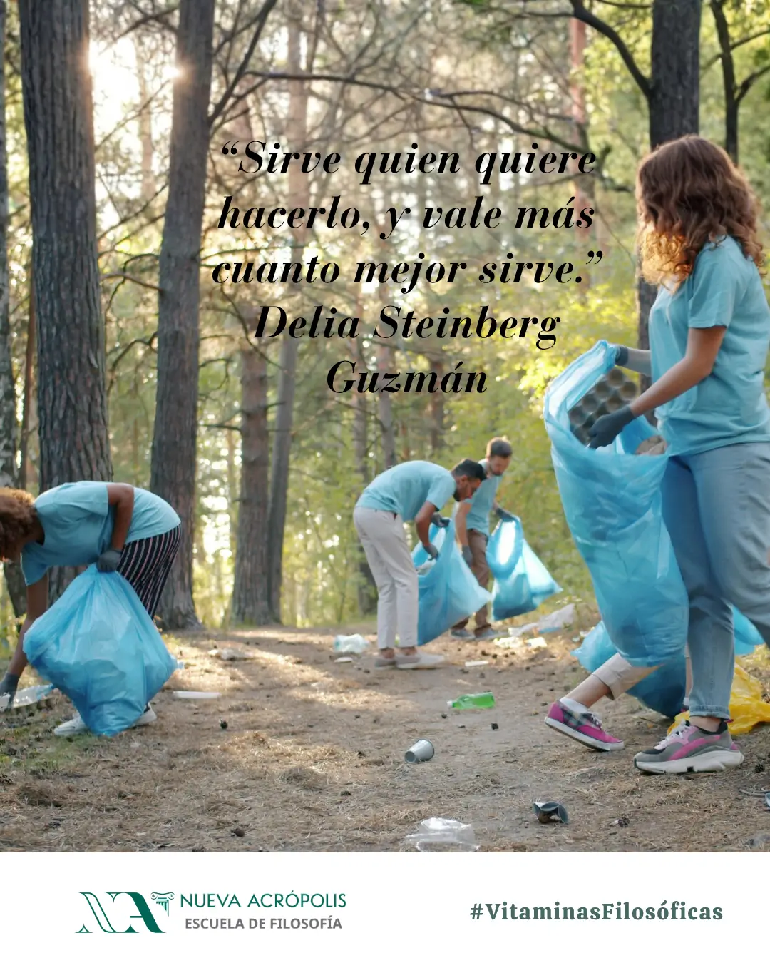 Frase del día