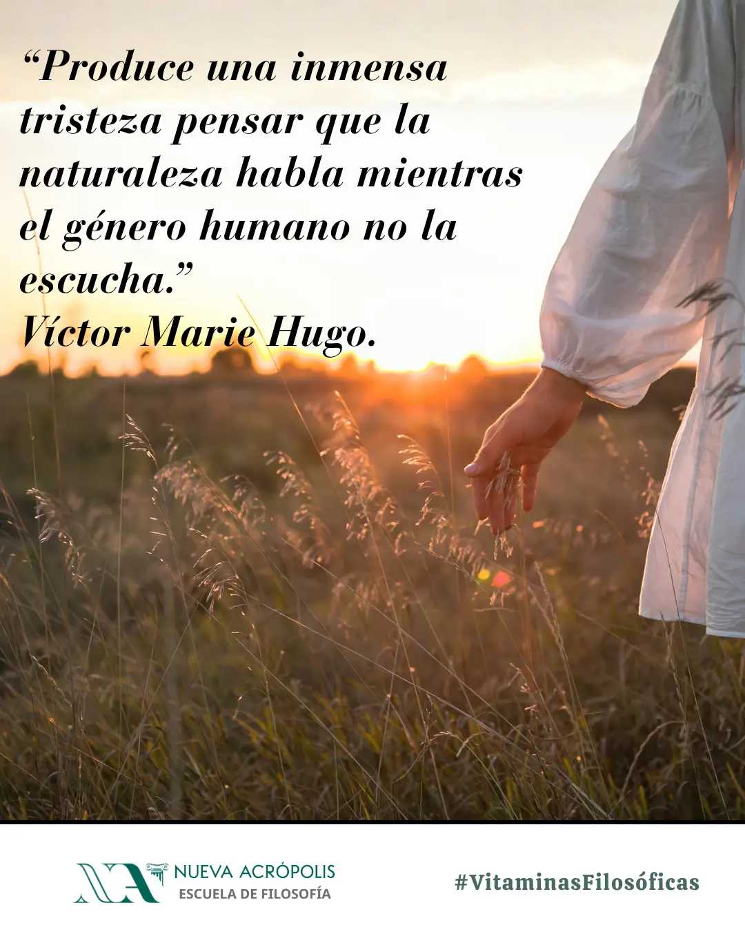 Frase del día