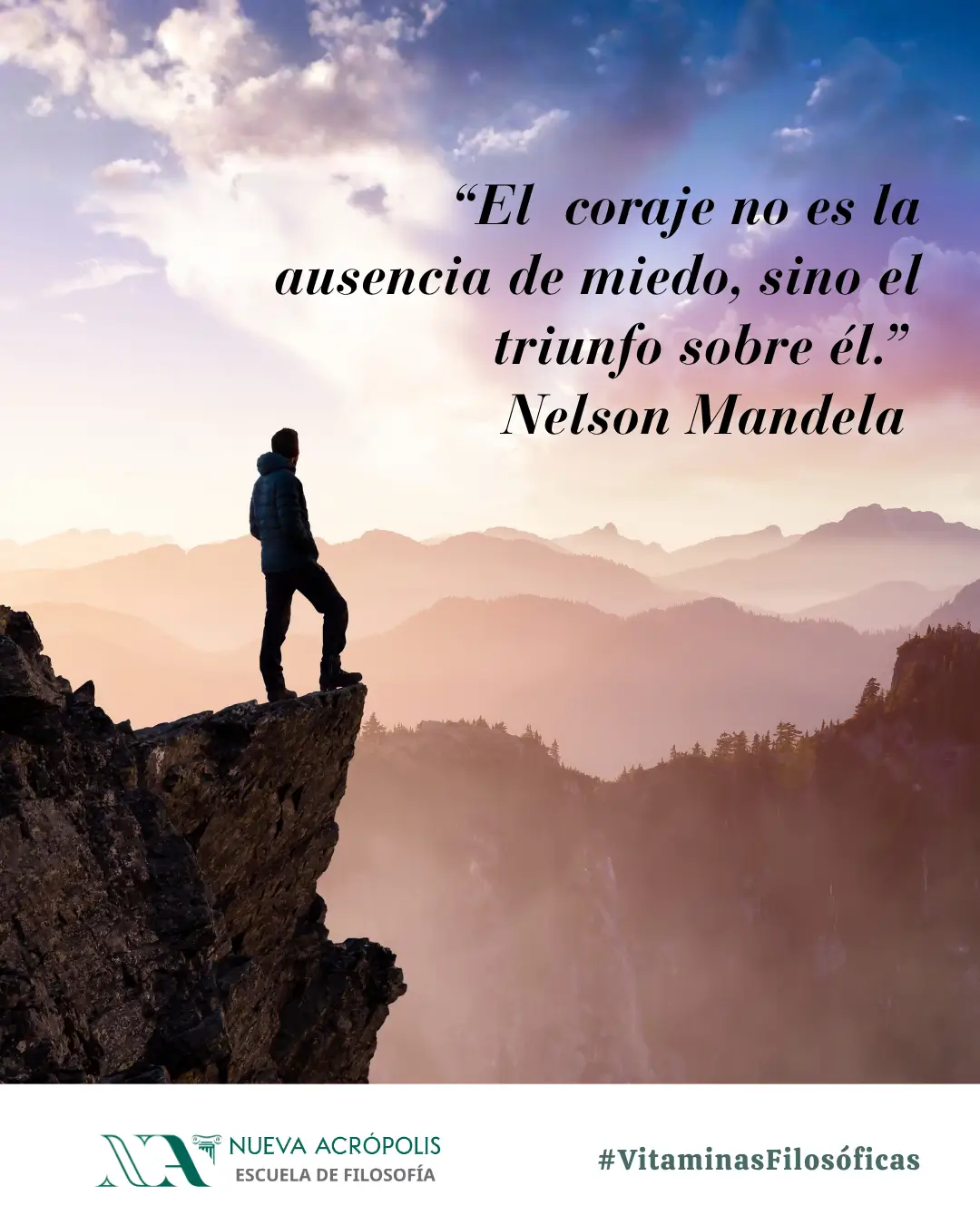 Frase del día