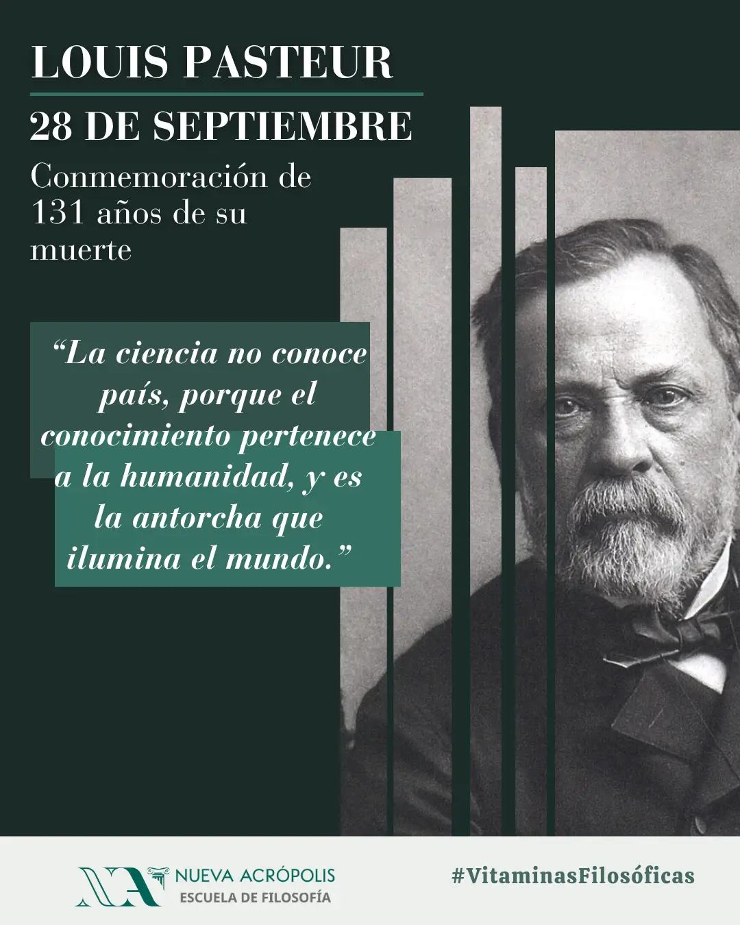 Frase del día