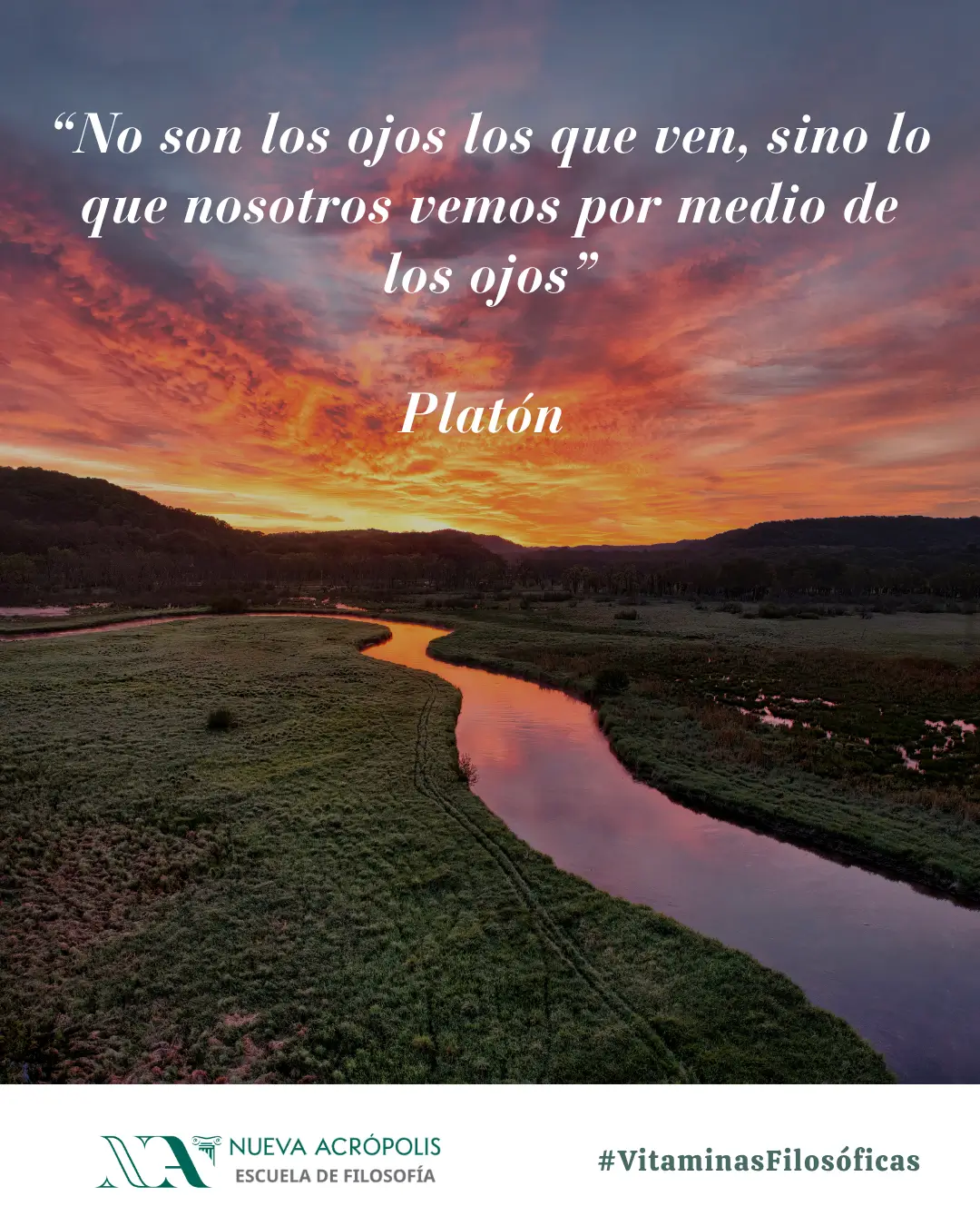 Frase del día