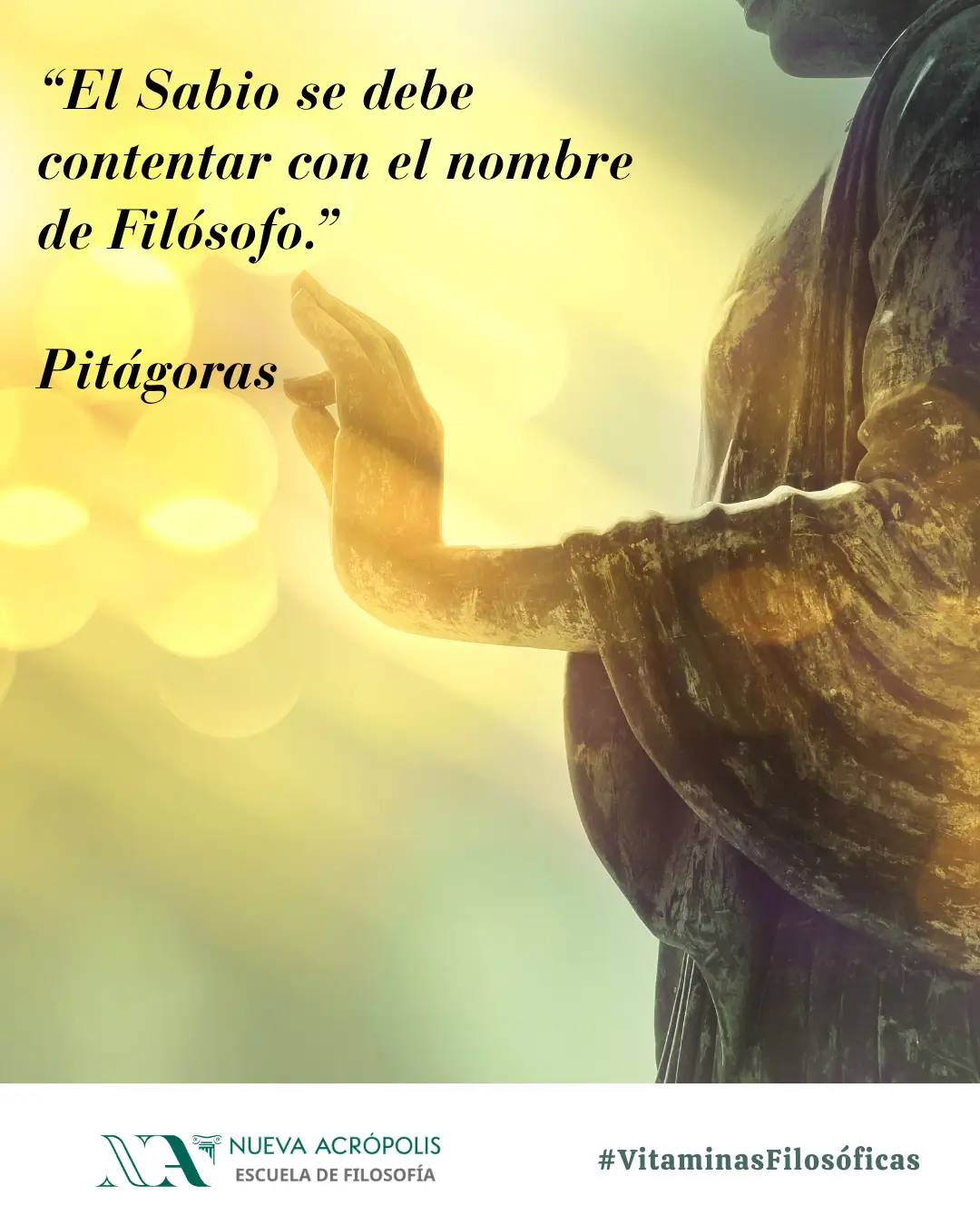 Frase del día