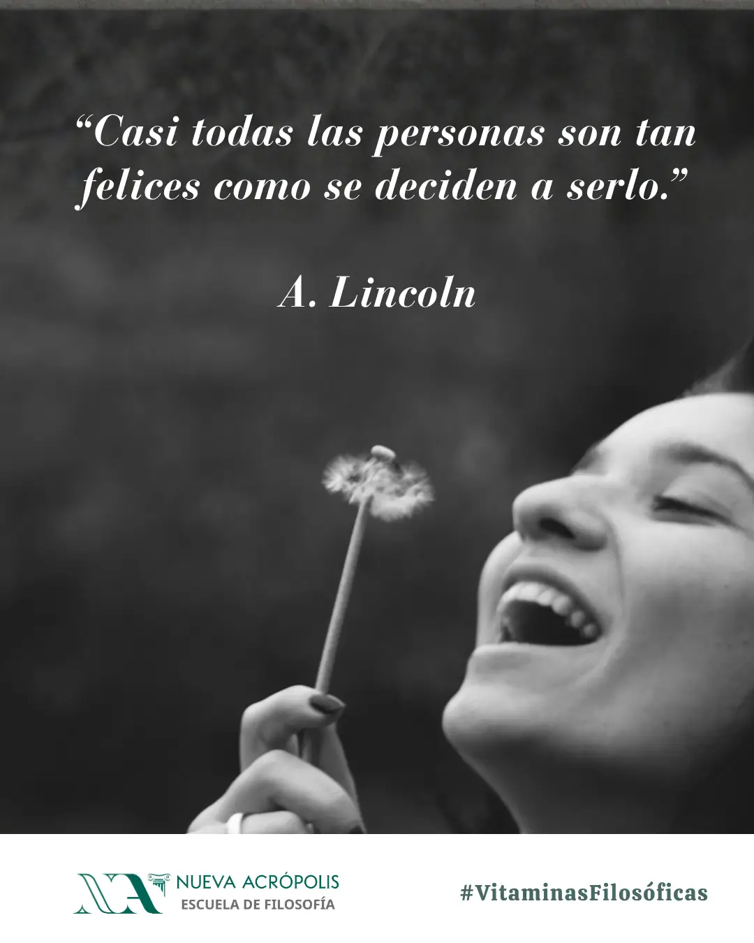 Frase del día