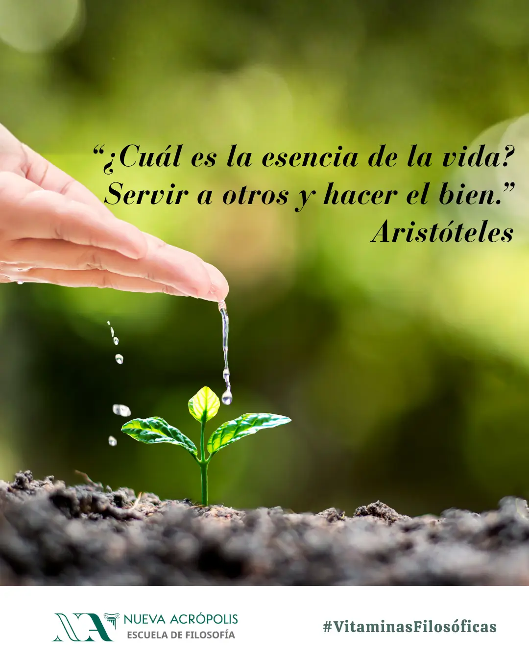Frase del día