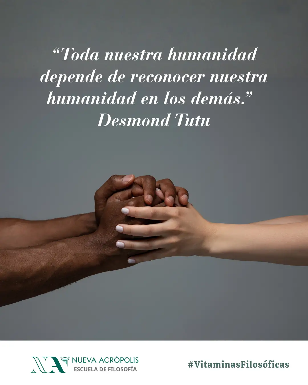 Frase del día