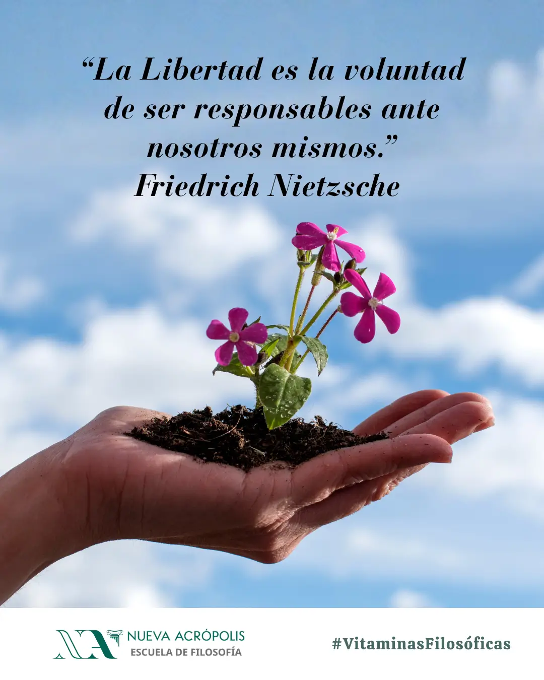 Frase del día