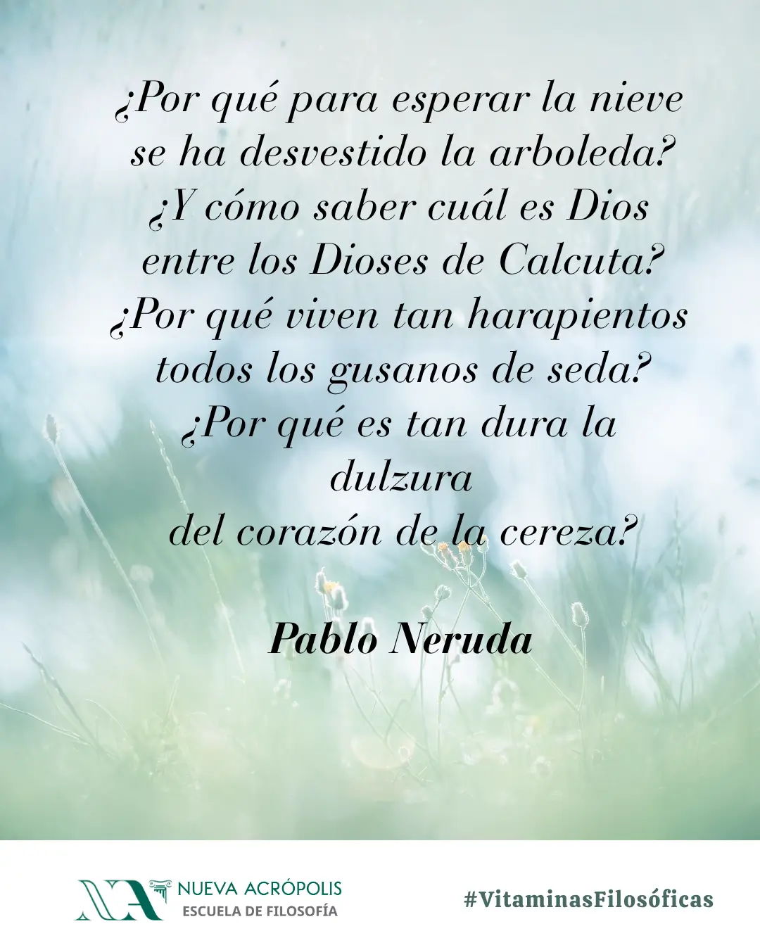 Frase del día