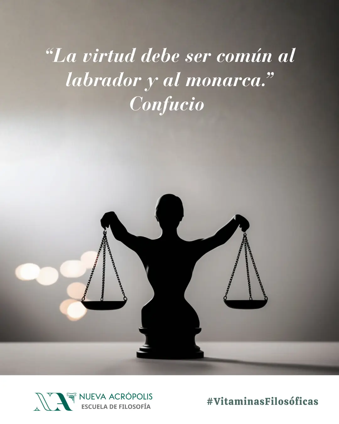 Frase del día