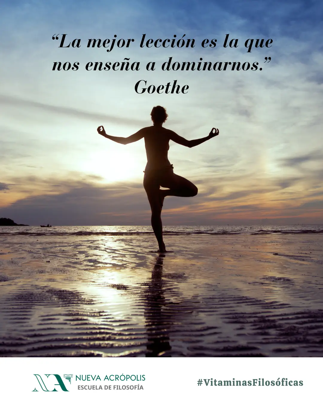 Frase del día