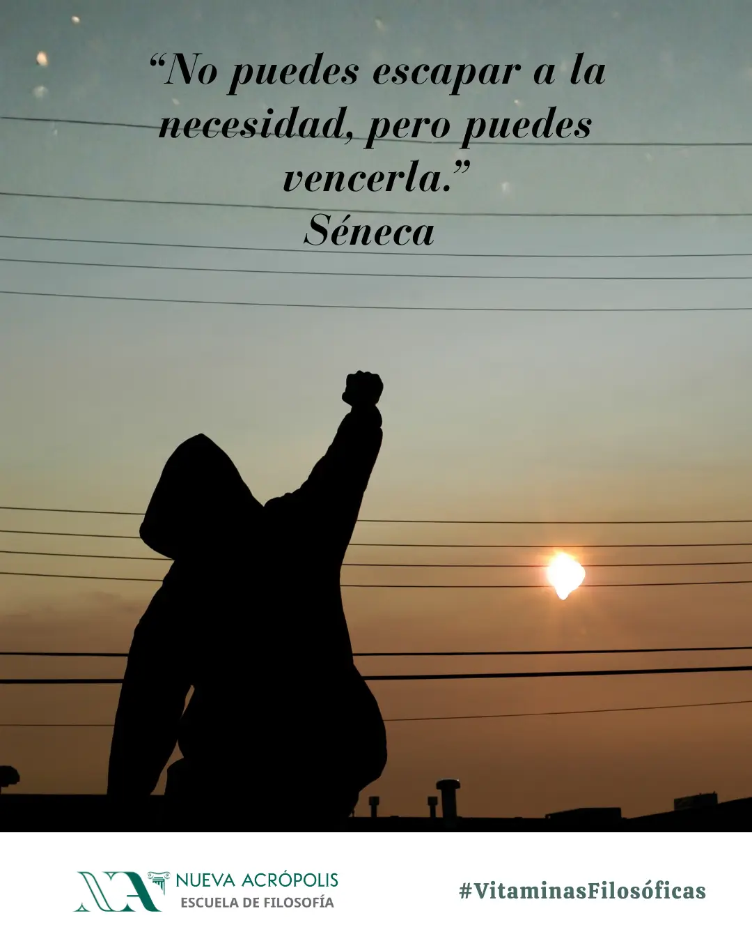 Frase del día