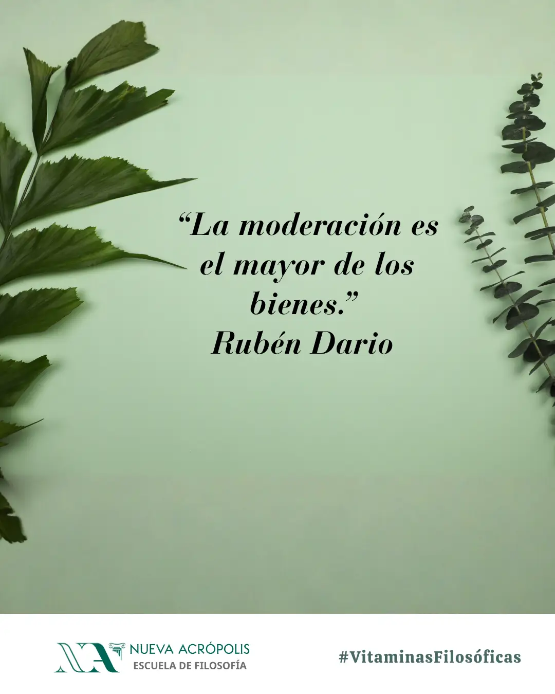 Frase del día