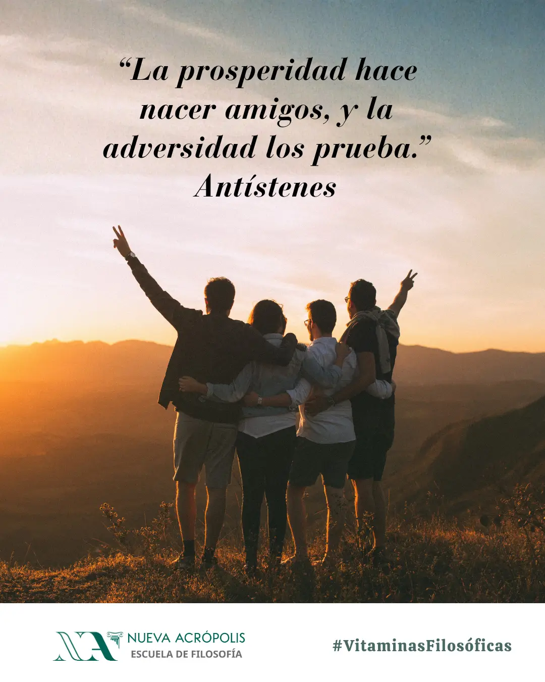 Frase del día