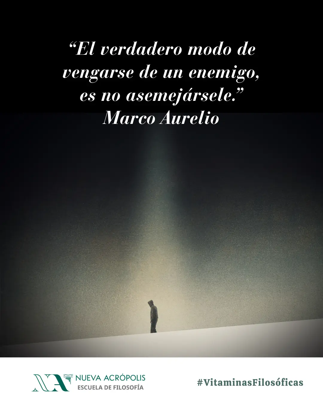 Frase del día