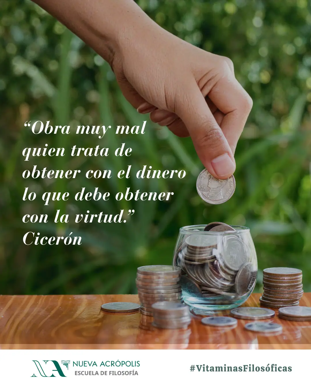 Frase del día