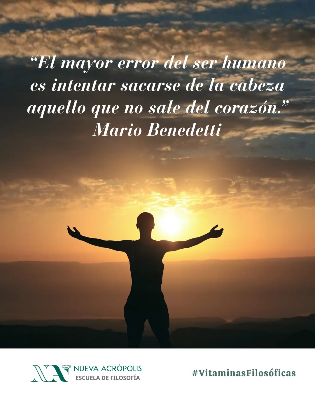 Frase del día