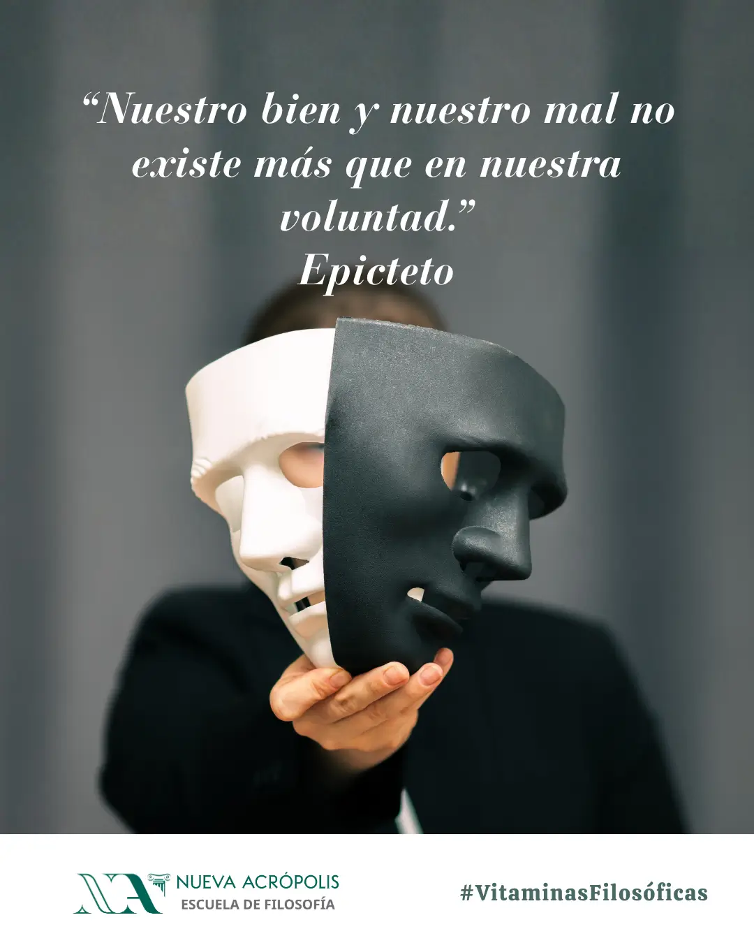 Frase del día