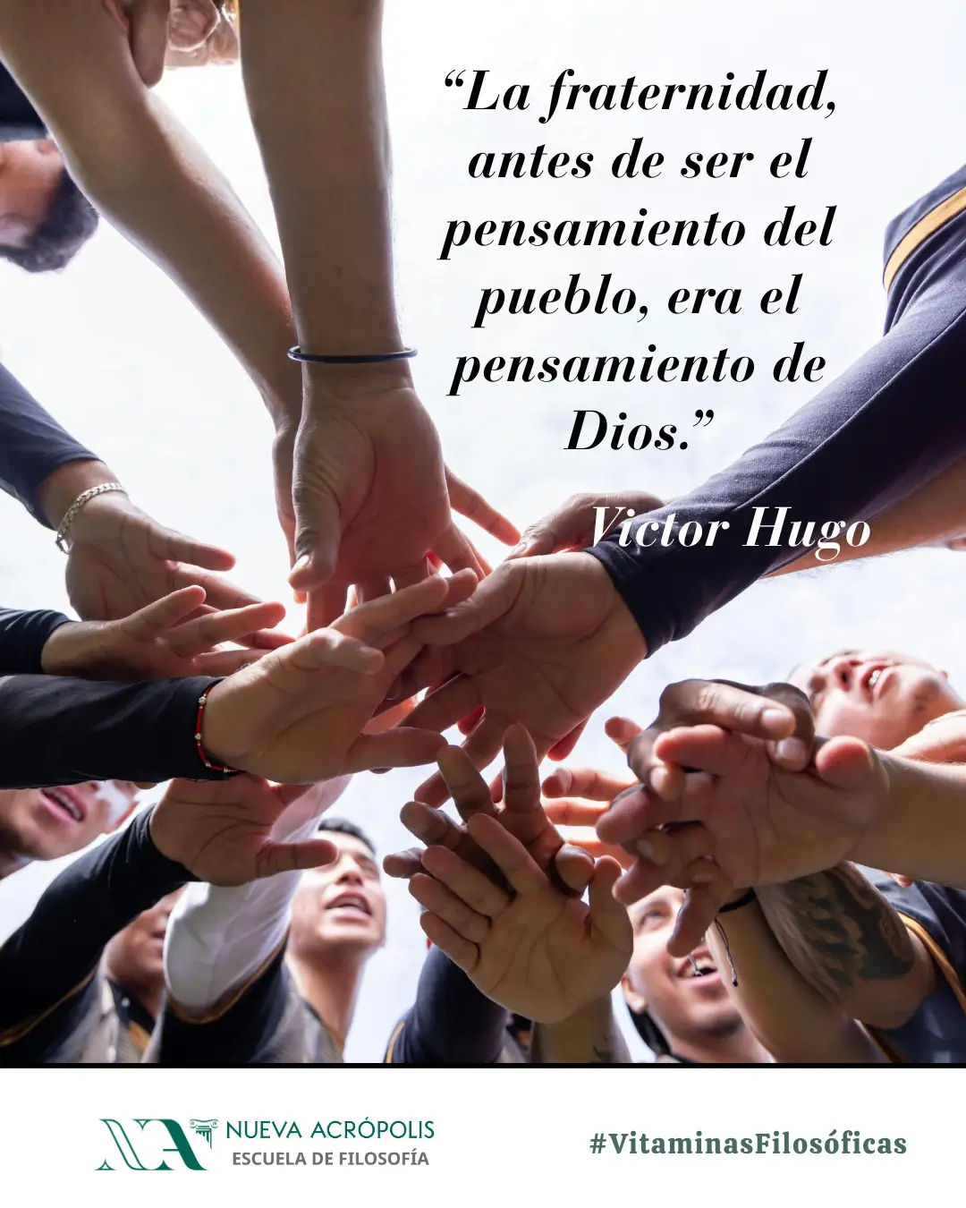 Frase del día
